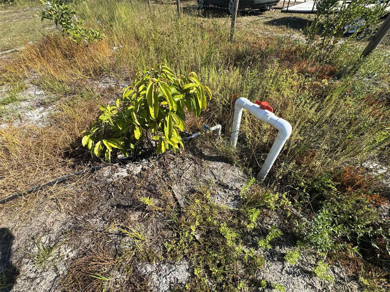 Image 13 of 17 For 61681 Krazy Court