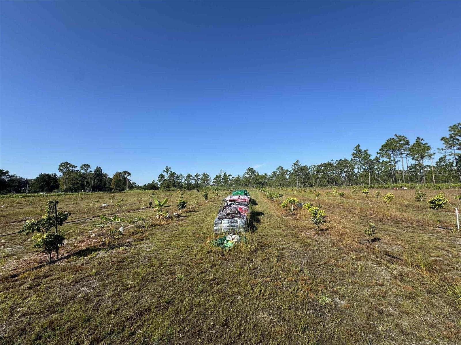 Image 14 of 17 For 61681 Krazy Court