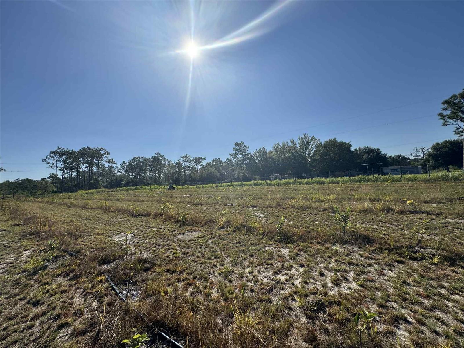 Image 2 of 17 For 61681 Krazy Court