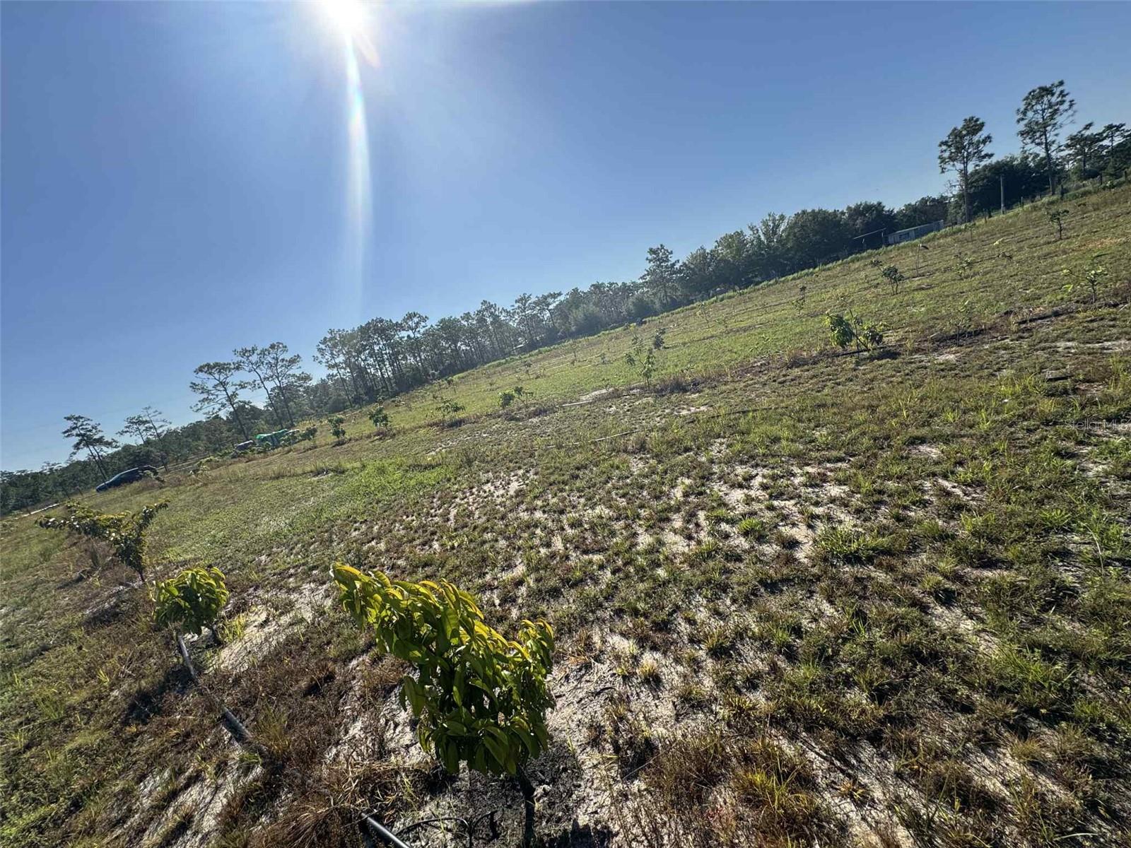 Image 5 of 17 For 61681 Krazy Court