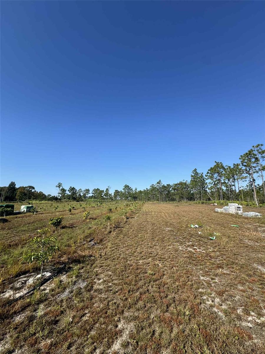 Image 6 of 17 For 61681 Krazy Court