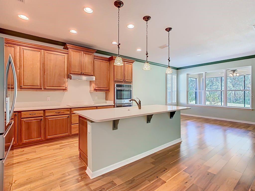 Image 17 of 68 For 543 Via Vitale Court