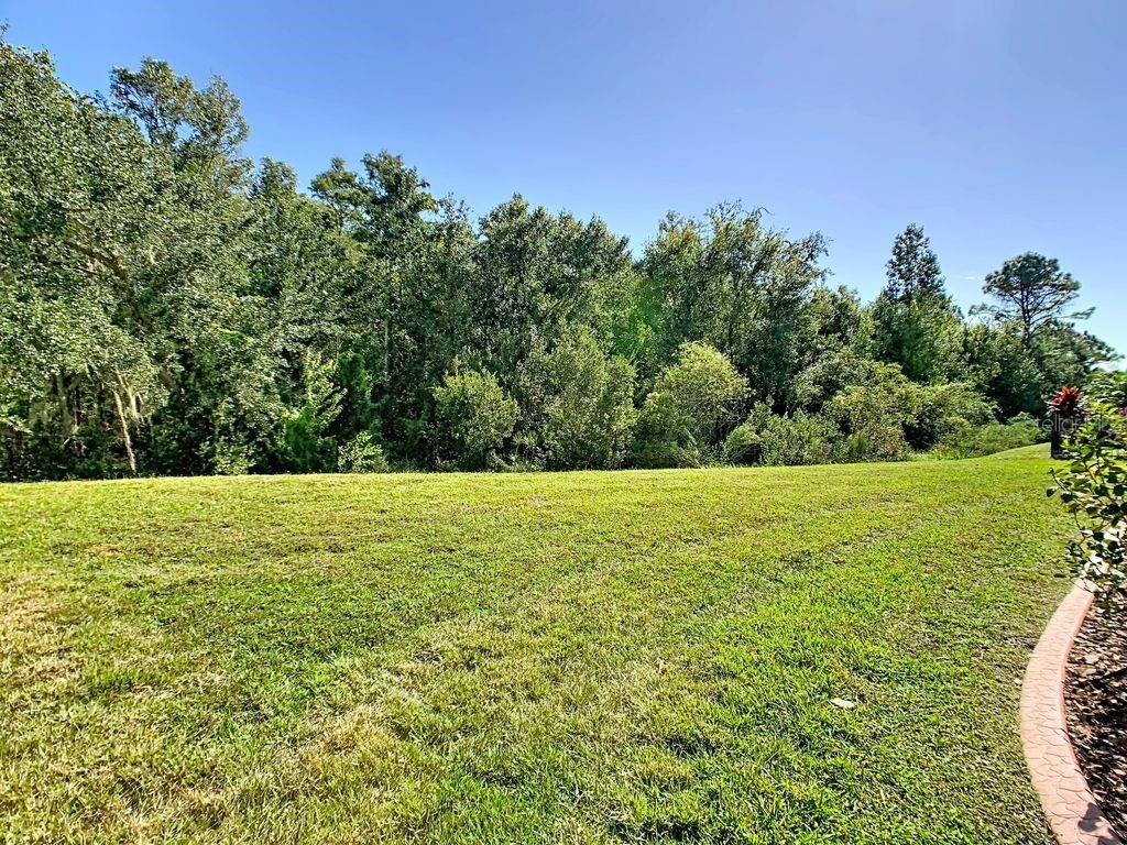 Image 3 of 68 For 543 Via Vitale Court