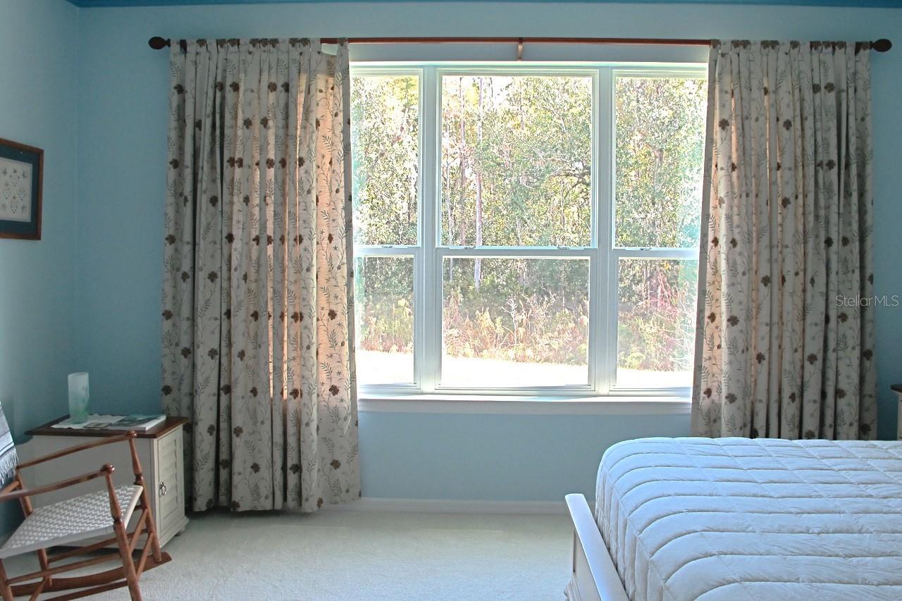 Image 44 of 68 For 543 Via Vitale Court