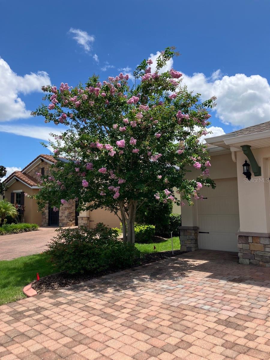 Image 71 of 89 For 543 Via Vitale Court