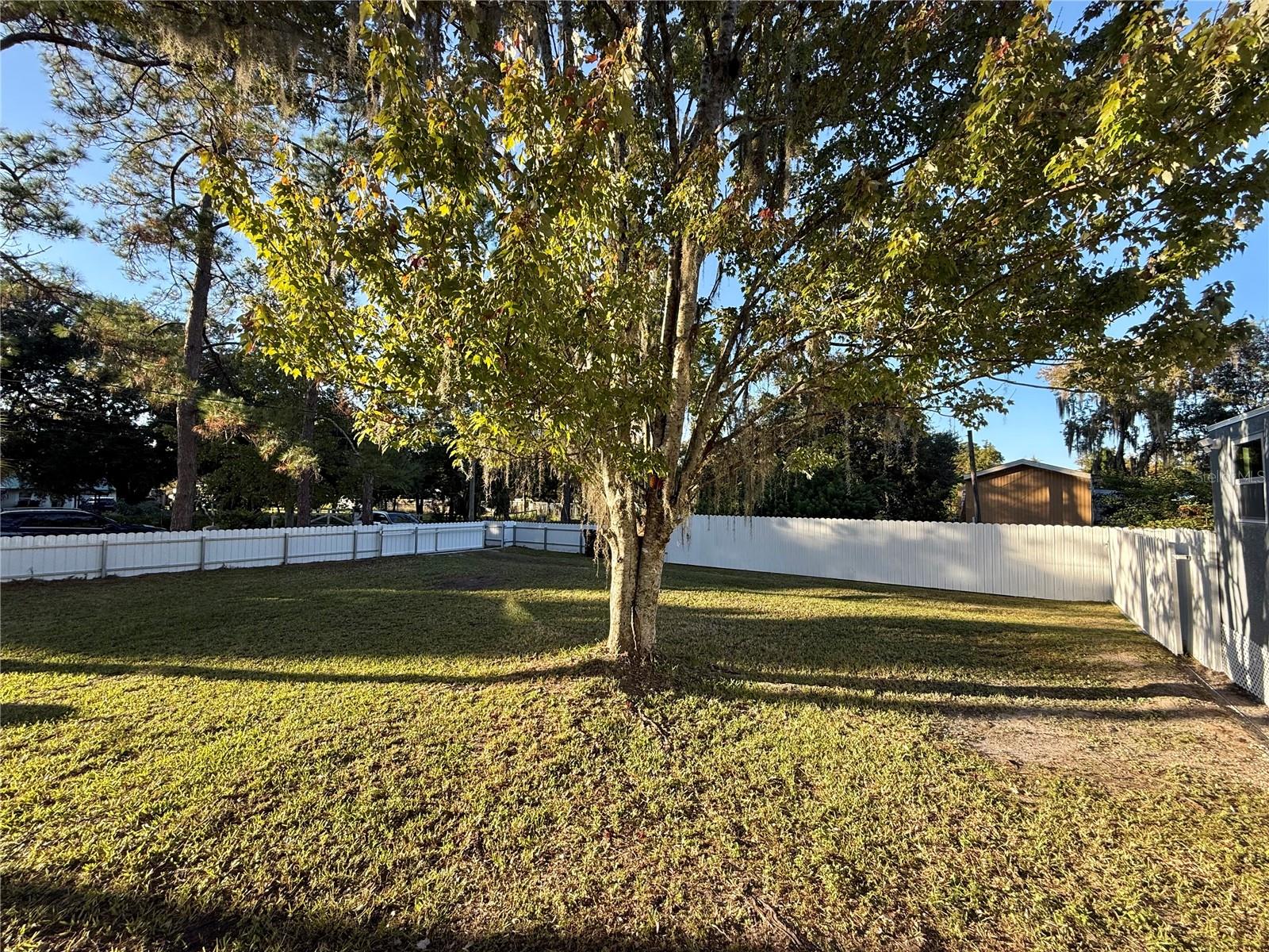 Image 21 of 69 For 1605 8th Street