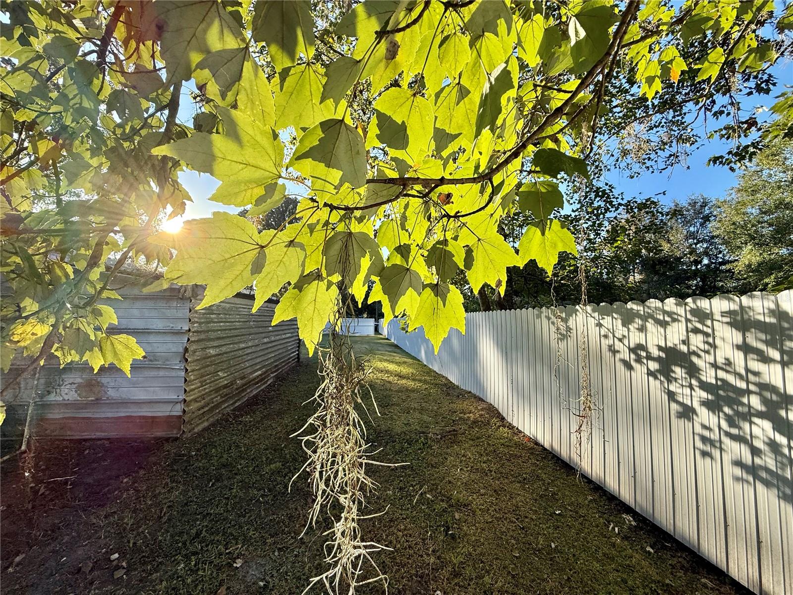 Image 55 of 69 For 1605 8th Street