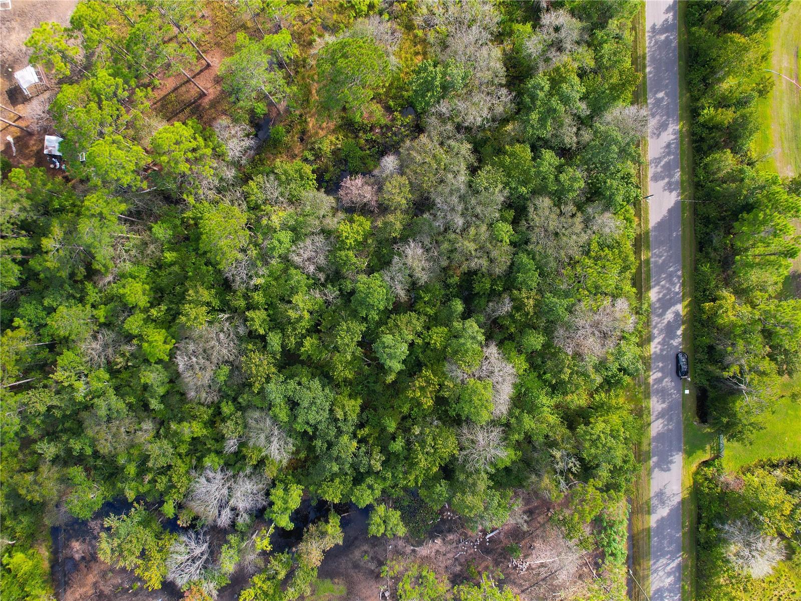 Image 16 of 36 For 3641 Packard Avenue