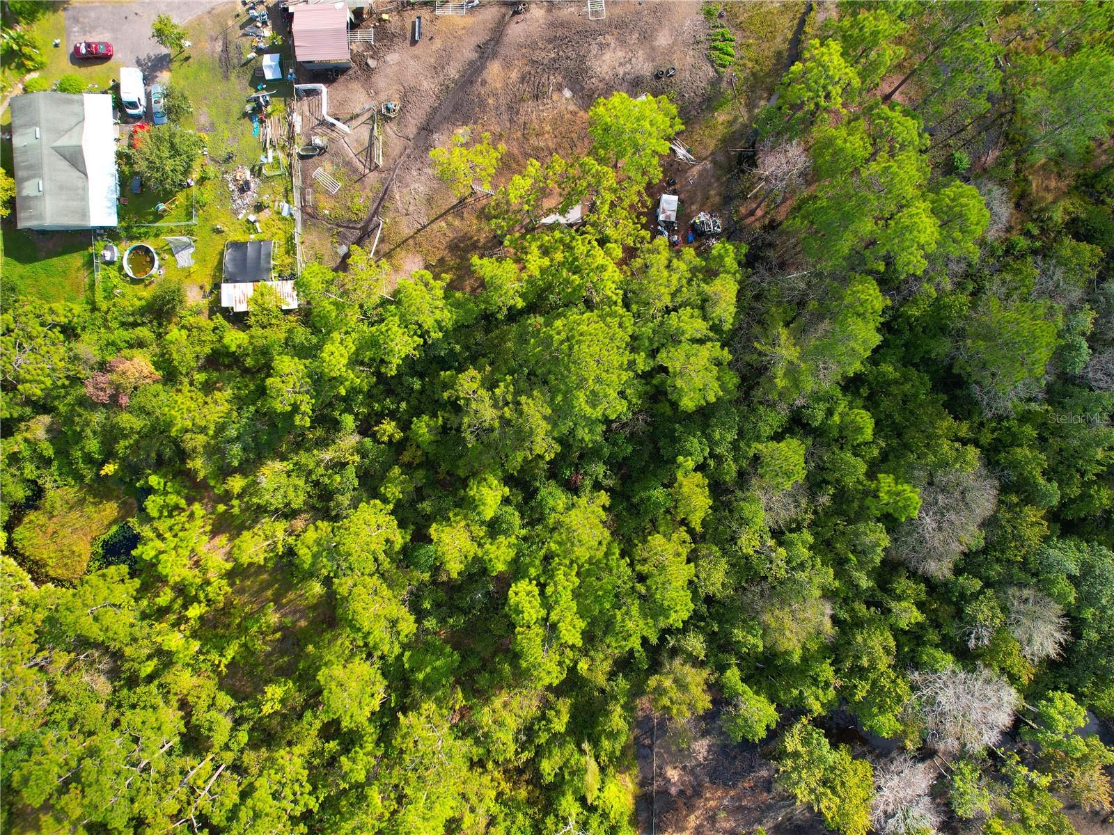 Image 17 of 36 For 3641 Packard Avenue