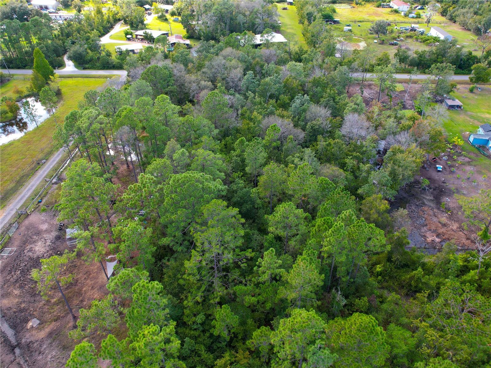 Image 24 of 36 For 3641 Packard Avenue