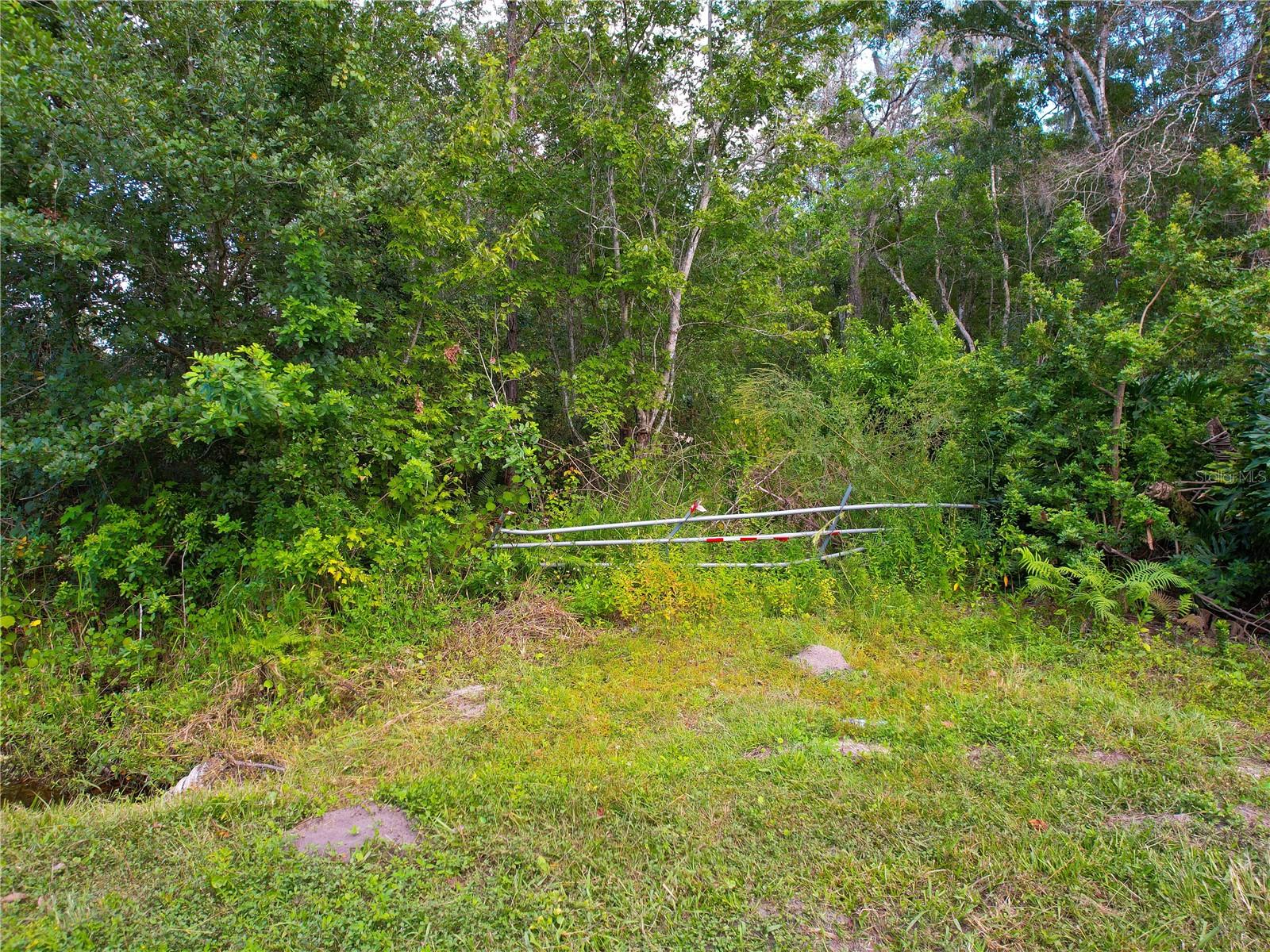 Image 28 of 36 For 3641 Packard Avenue