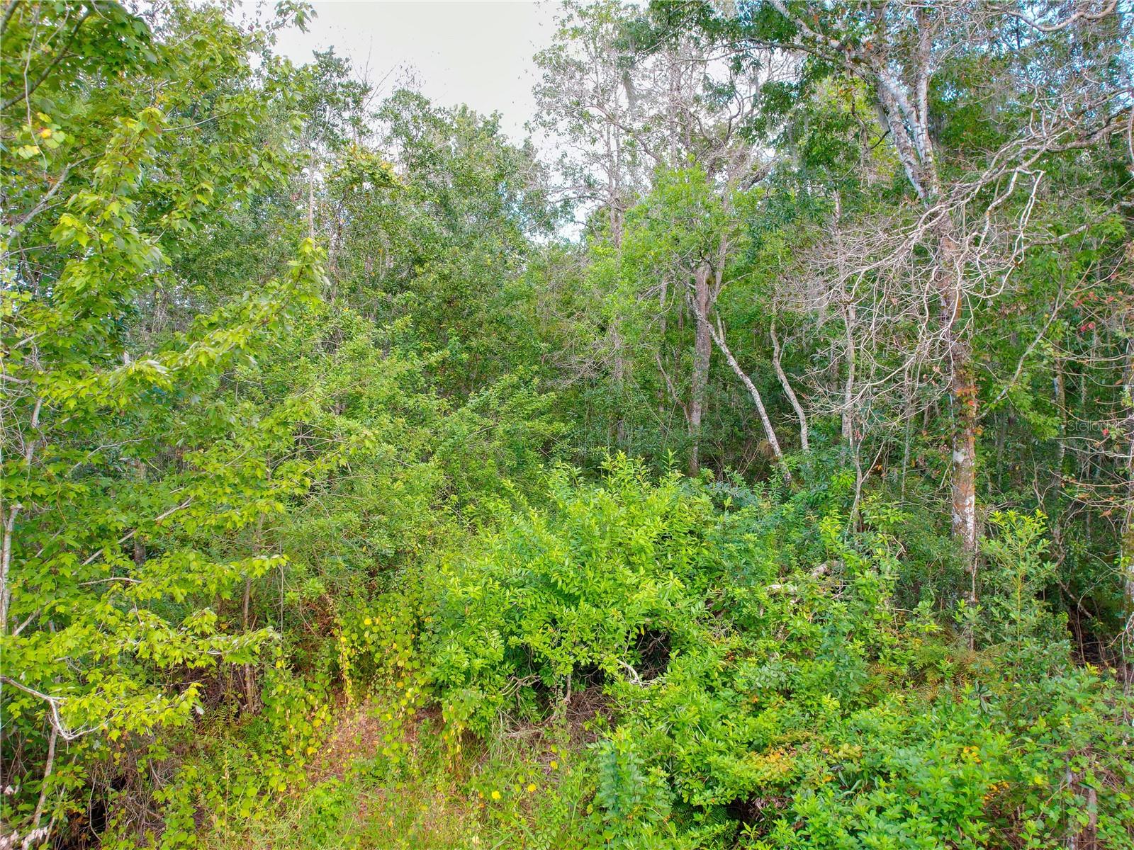 Image 29 of 36 For 3641 Packard Avenue