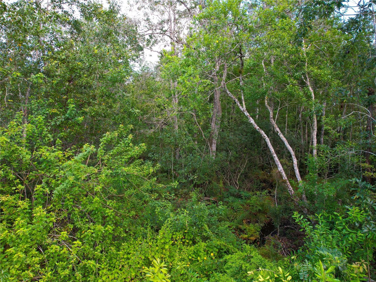 Image 30 of 36 For 3641 Packard Avenue