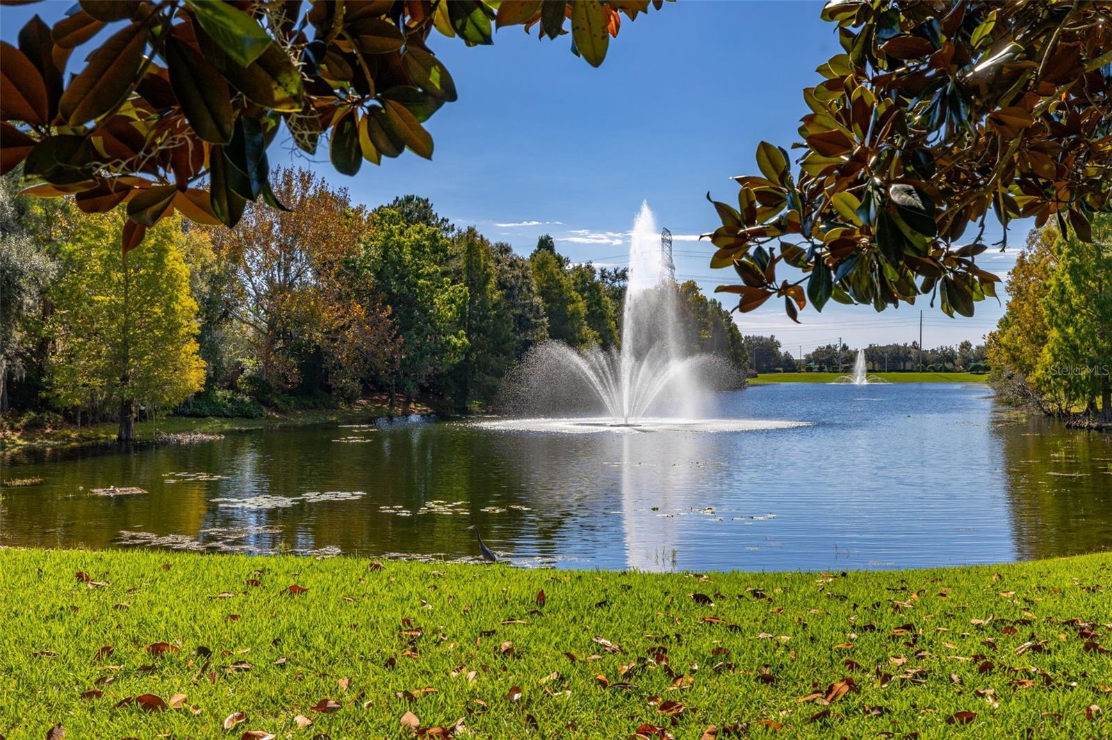 Image 57 of 63 For 11438 Arborside Bend Way