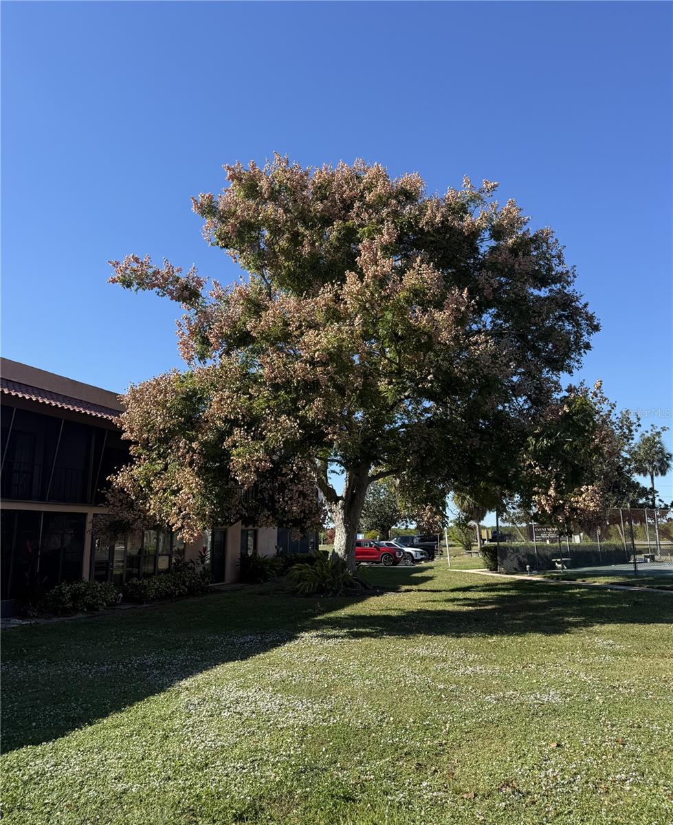 Image 34 of 42 For 227 La Casa  227