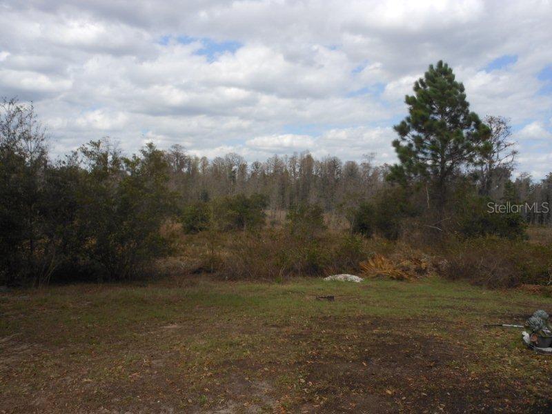 Image 7 of 11 For 8860 Parliament Court