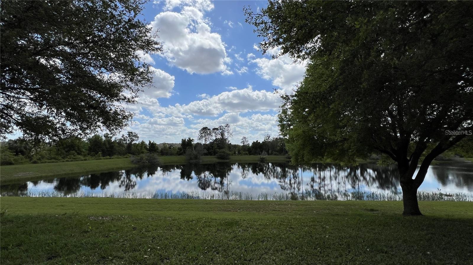 Image 5 of 73 For 3721 Maidencain Street