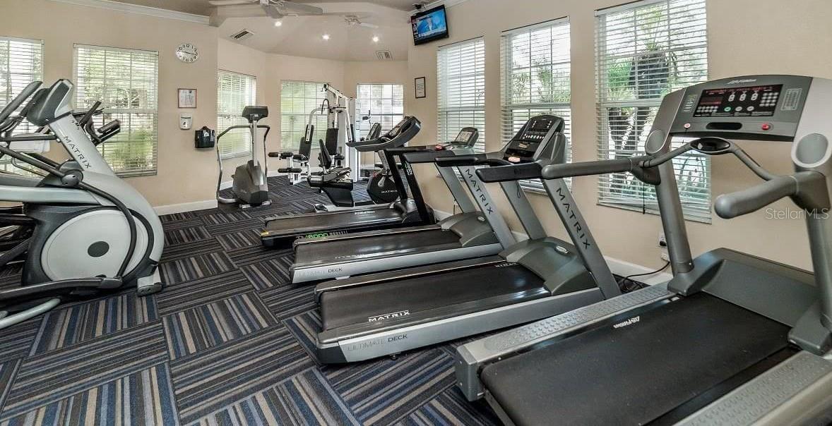 Image 29 of 35 For 8212 Fan Palm Way