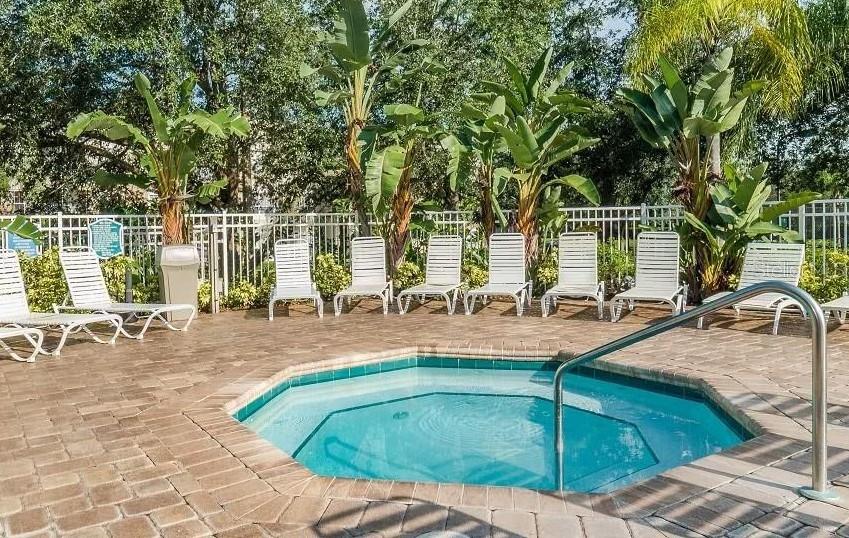 Image 34 of 35 For 8212 Fan Palm Way