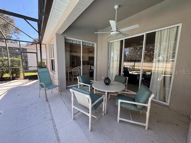 Image 8 of 35 For 8212 Fan Palm Way