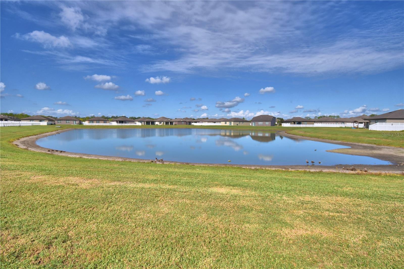 Image 21 of 21 For 8659 Rindge Road