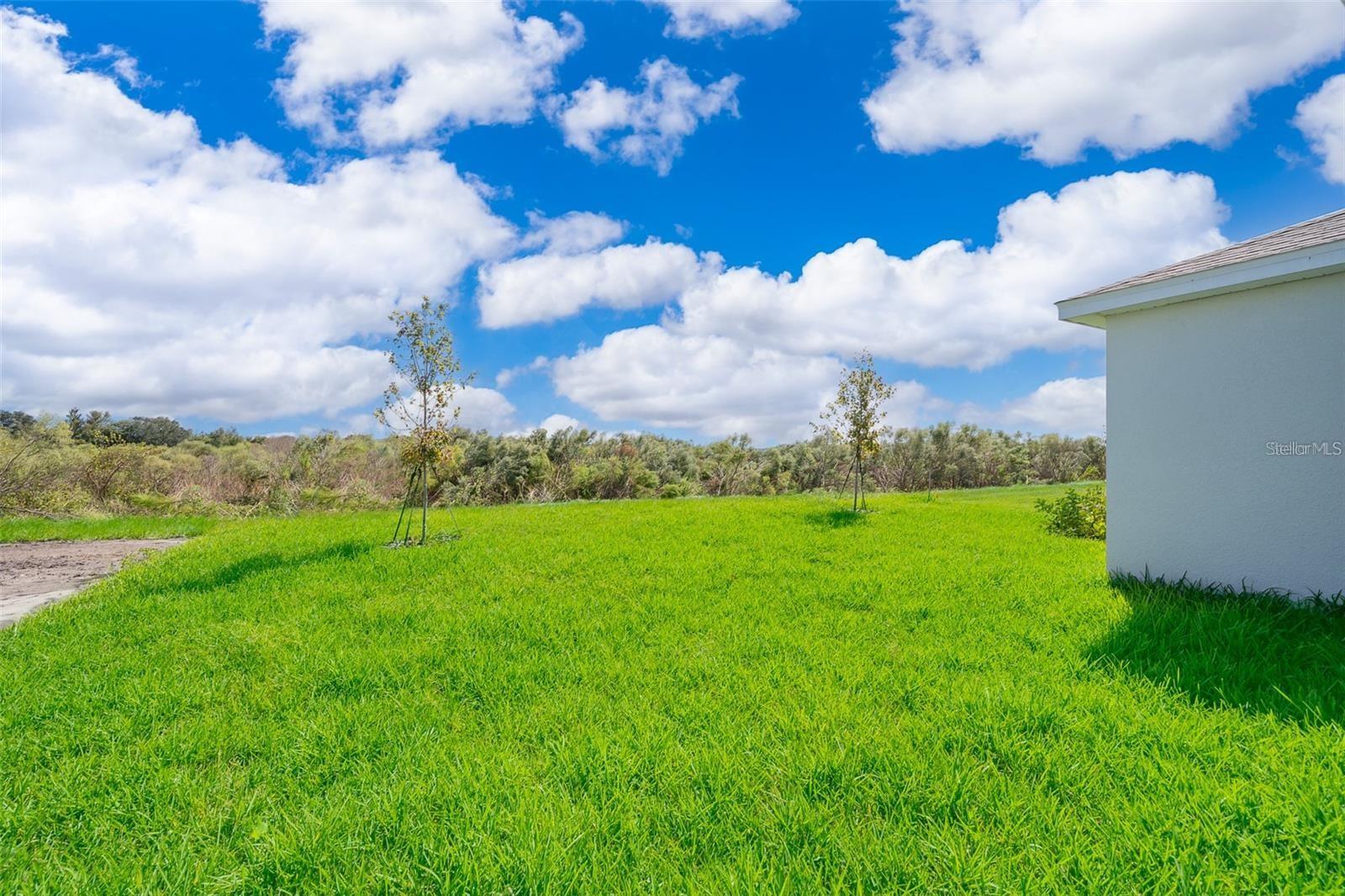 Image 20 of 28 For 1937 Spring Shower Circle