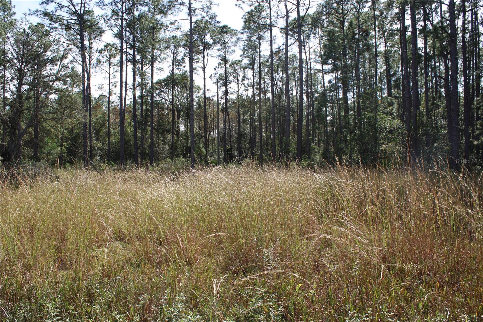 Image 10 of 19 For Duboise Drive