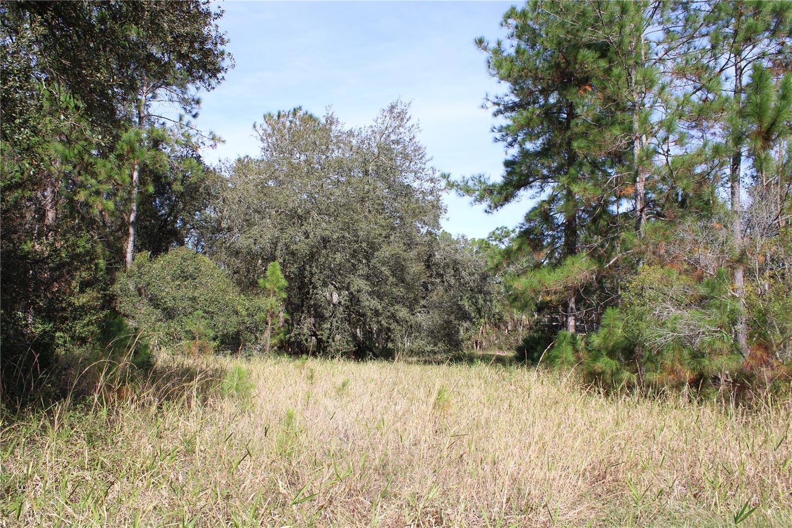 Image 11 of 19 For Duboise Drive