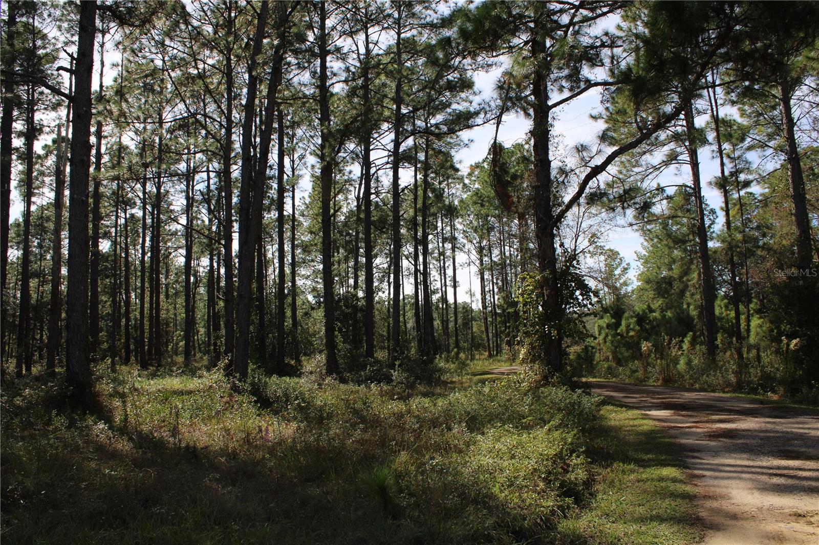 Image 14 of 19 For Duboise Drive