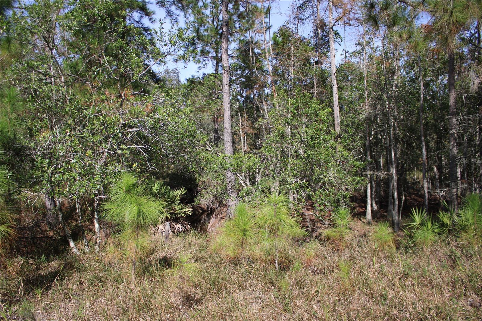 Image 16 of 19 For Duboise Drive