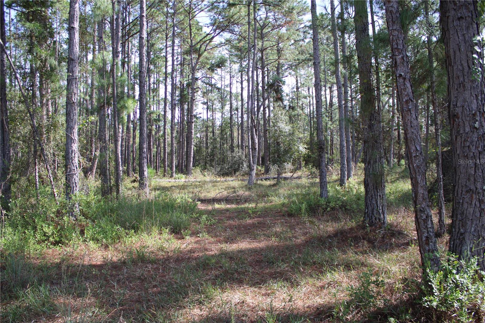 Image 17 of 19 For Duboise Drive