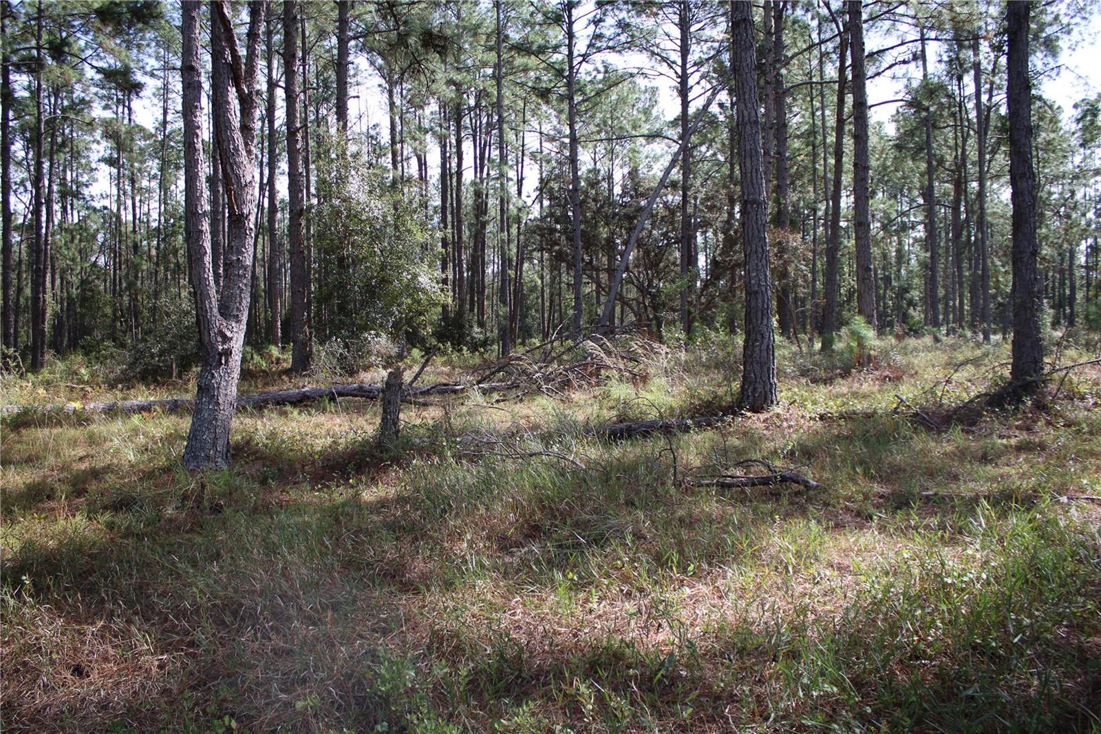 Image 18 of 19 For Duboise Drive