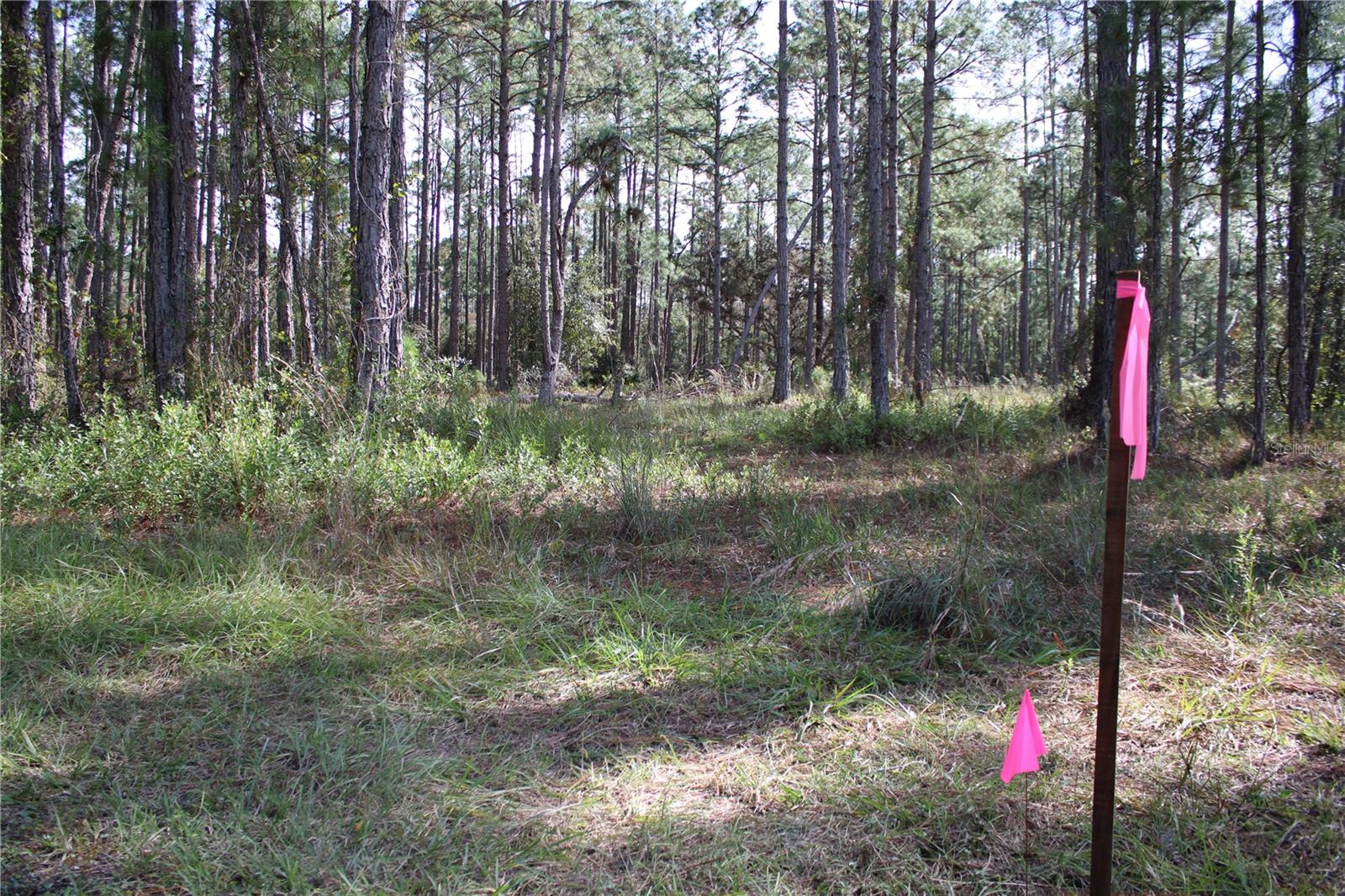 Image 19 of 19 For Duboise Drive