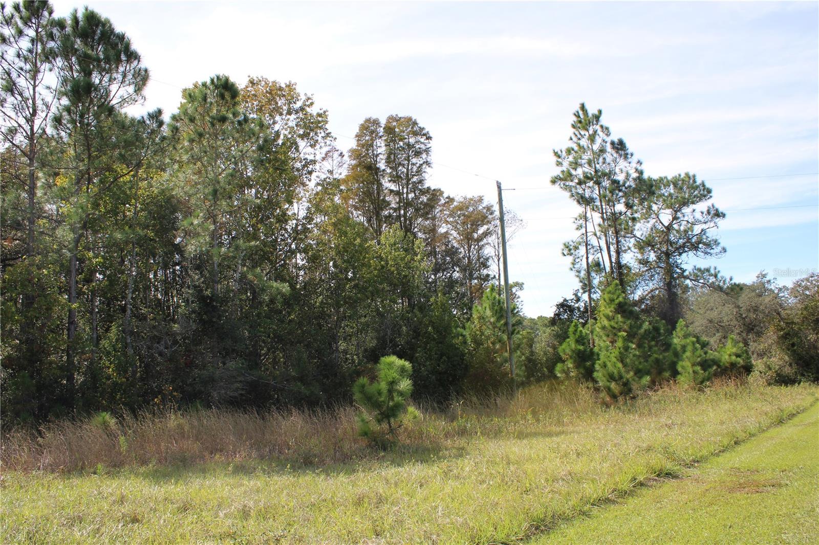 Image 8 of 19 For Duboise Drive