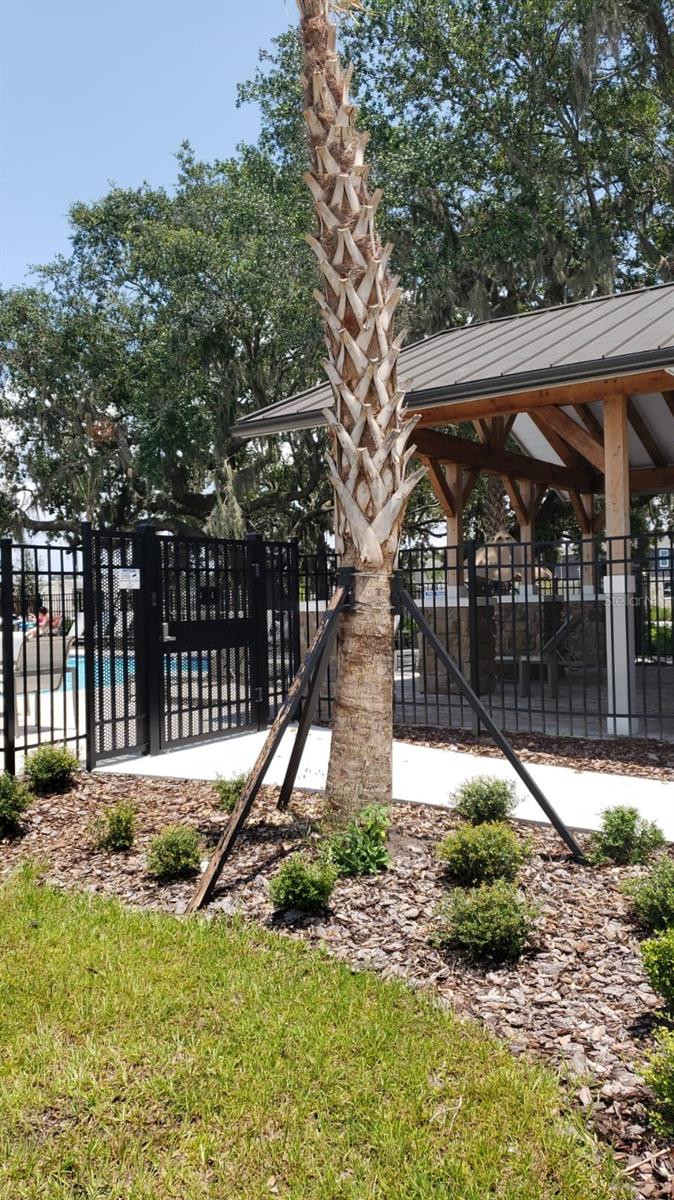 Image 33 of 34 For 1772 Stamen Drive