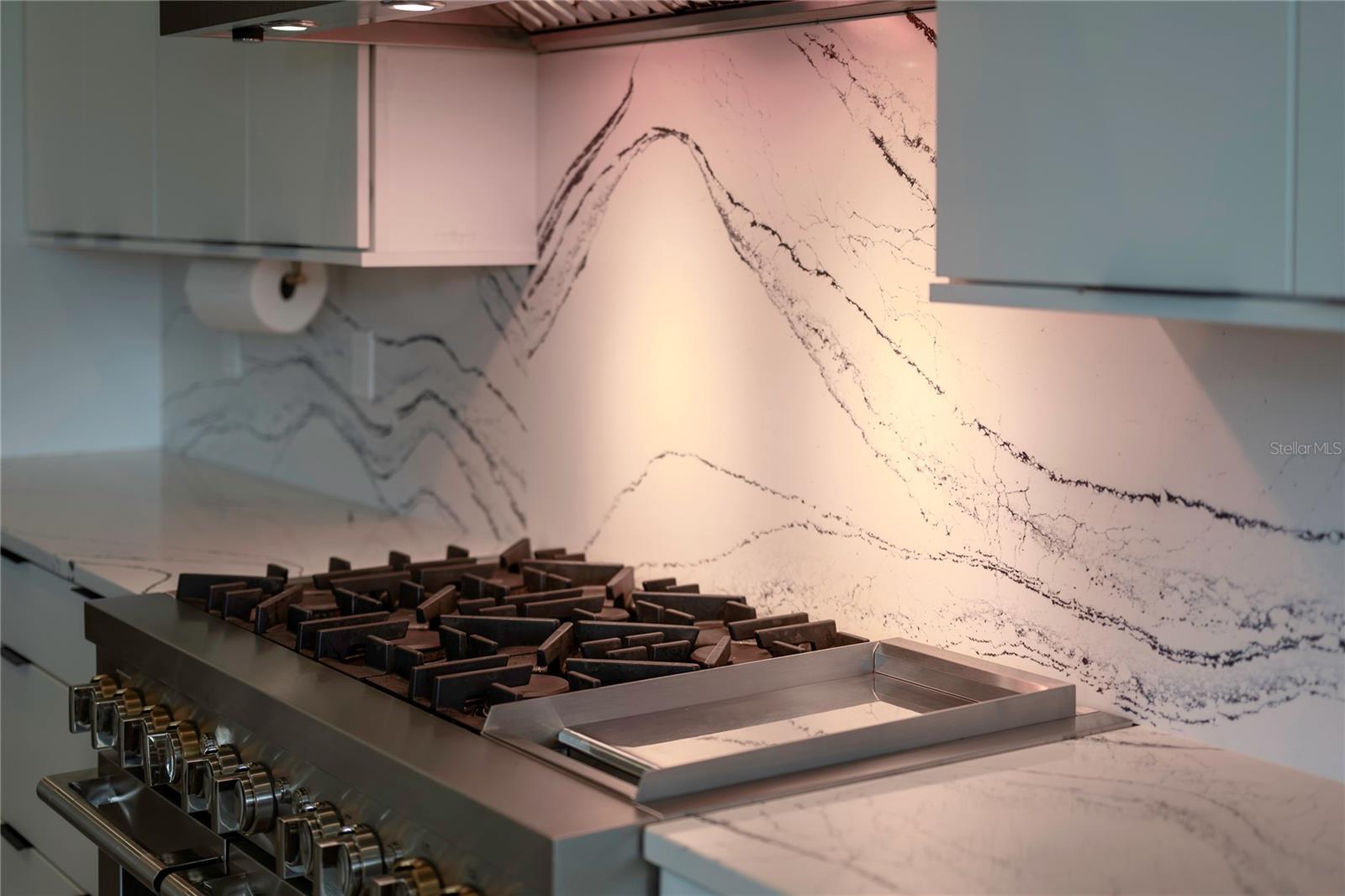 Image 15 of 46 For 9004 Santorini Drive