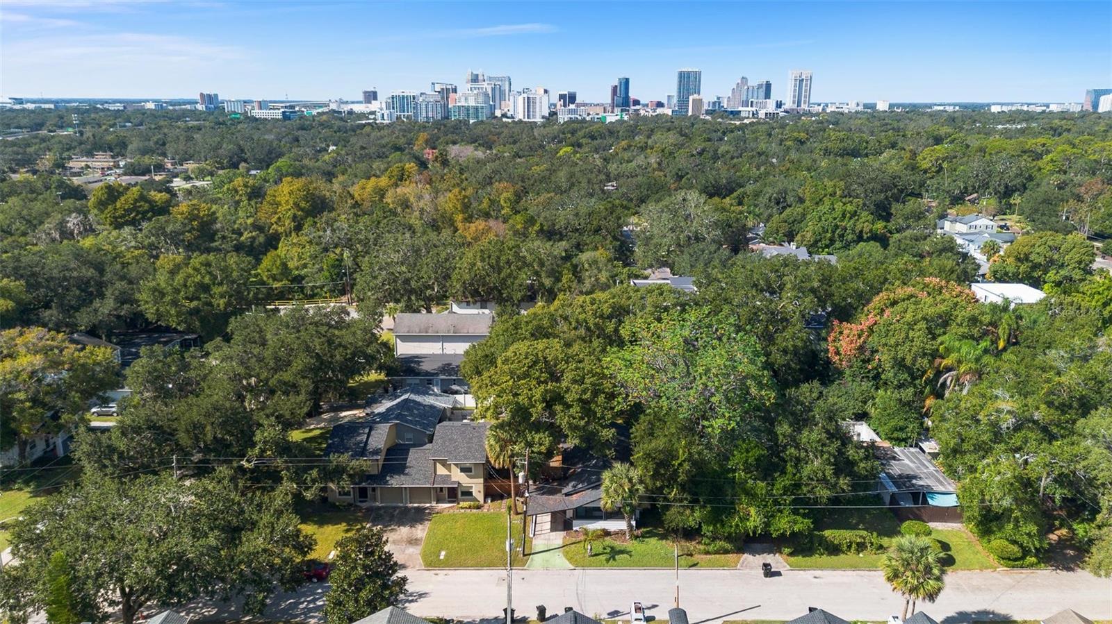 Image 31 of 35 For 12 Forest Avenue