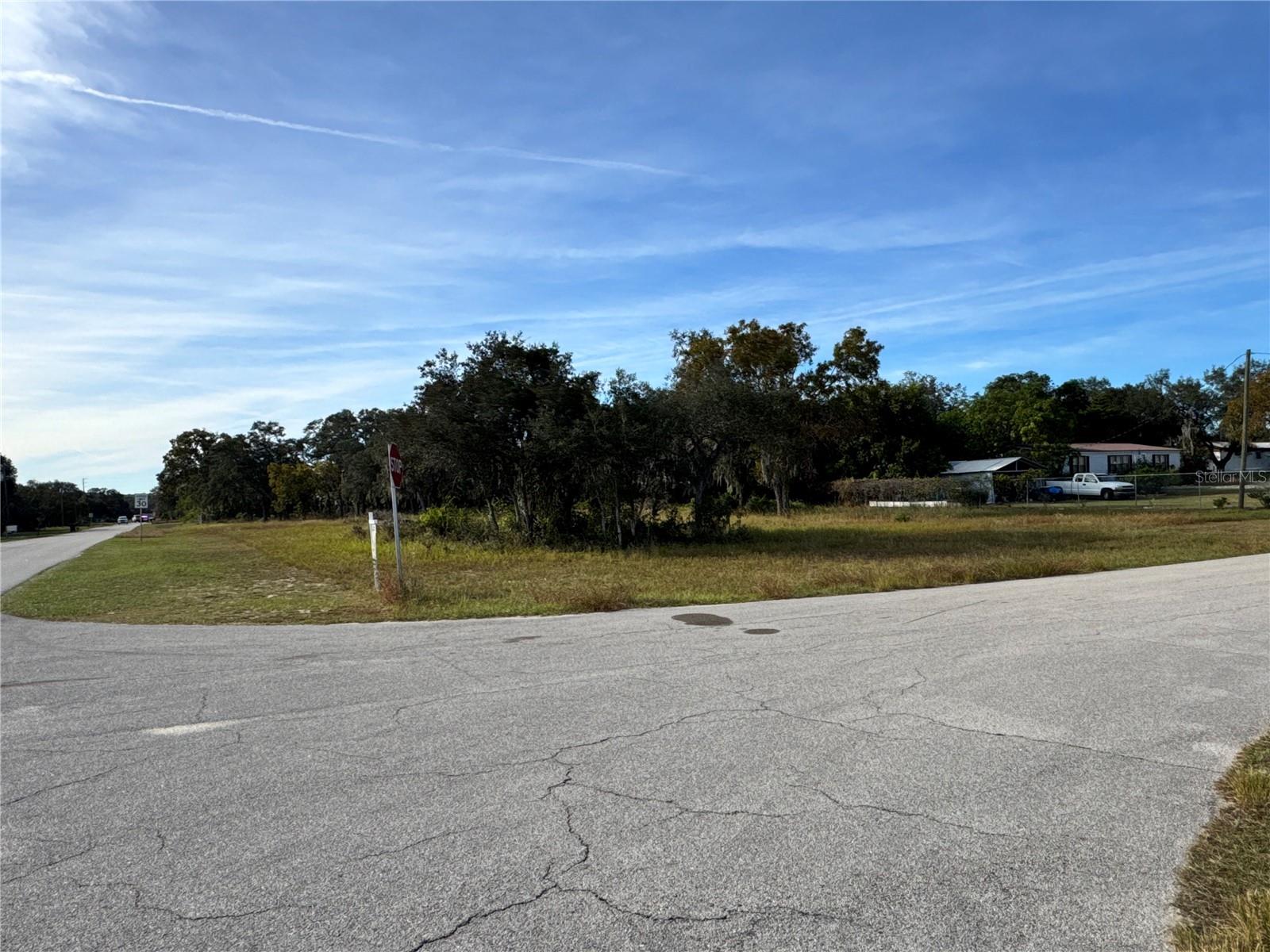 Image 10 of 10 For Fast Trot Trail