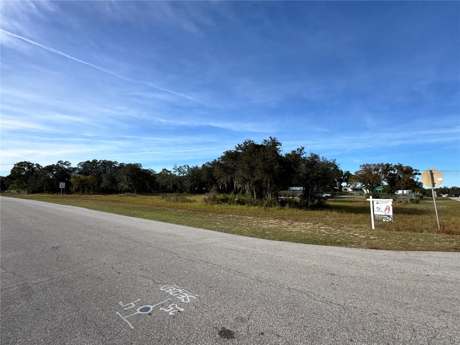 Image 2 of 10 For Fast Trot Trail