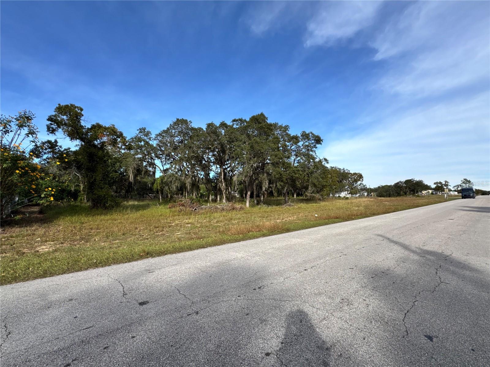 Image 4 of 10 For Fast Trot Trail