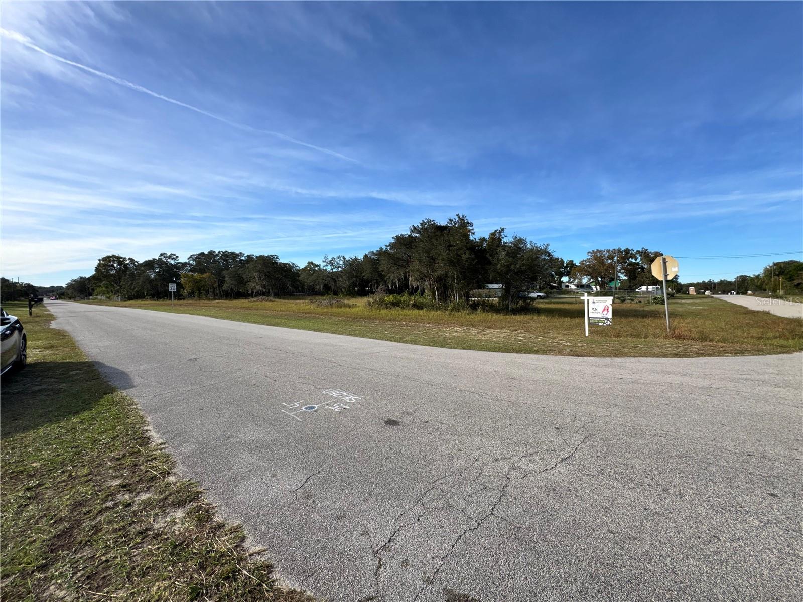 Image 6 of 10 For Fast Trot Trail