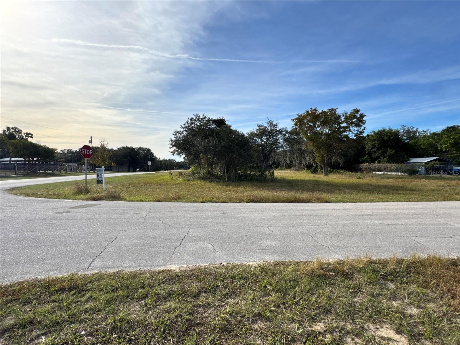 Image 9 of 10 For Fast Trot Trail