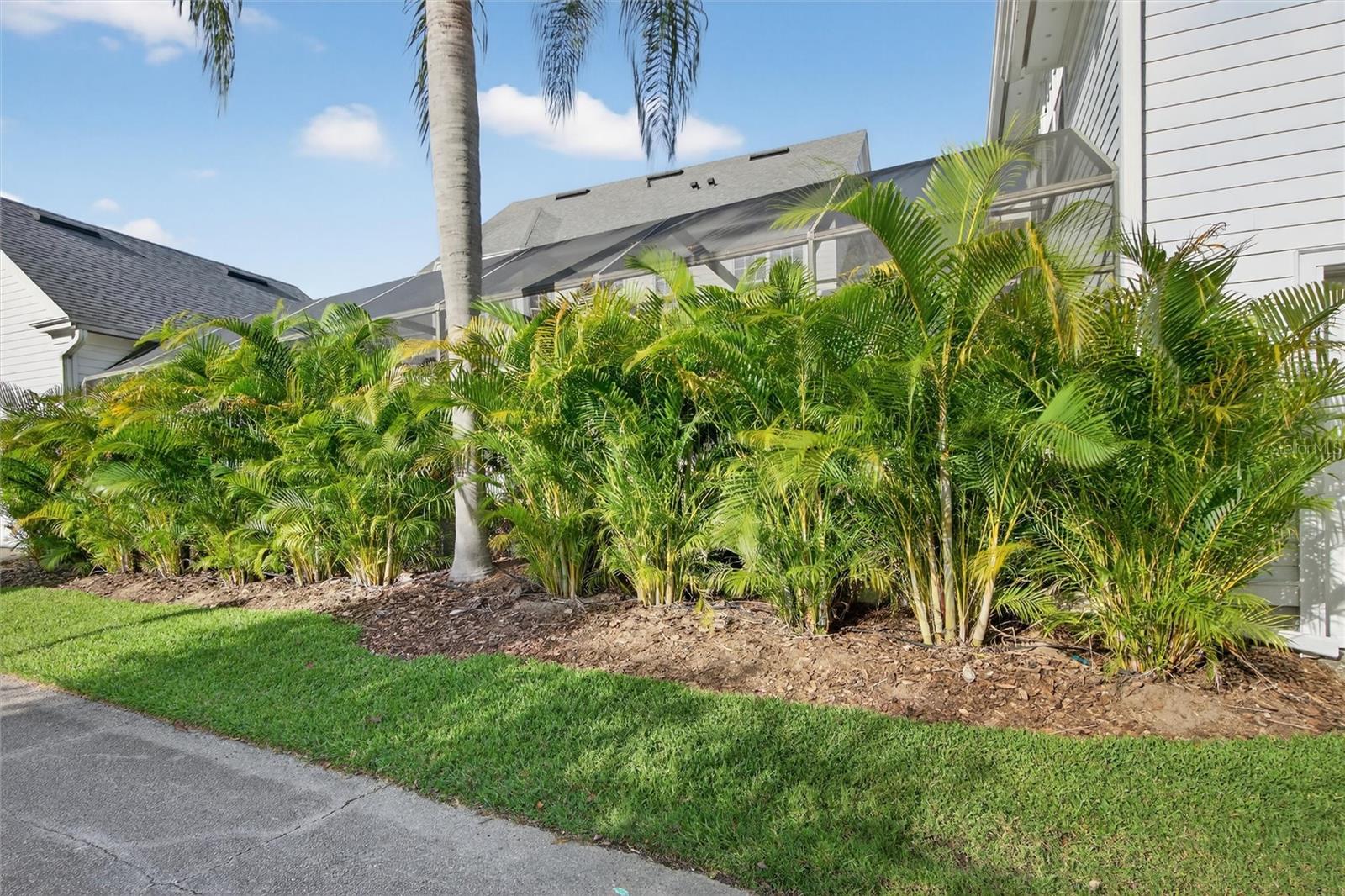 Image 77 of 81 For 416 Arbor Circle