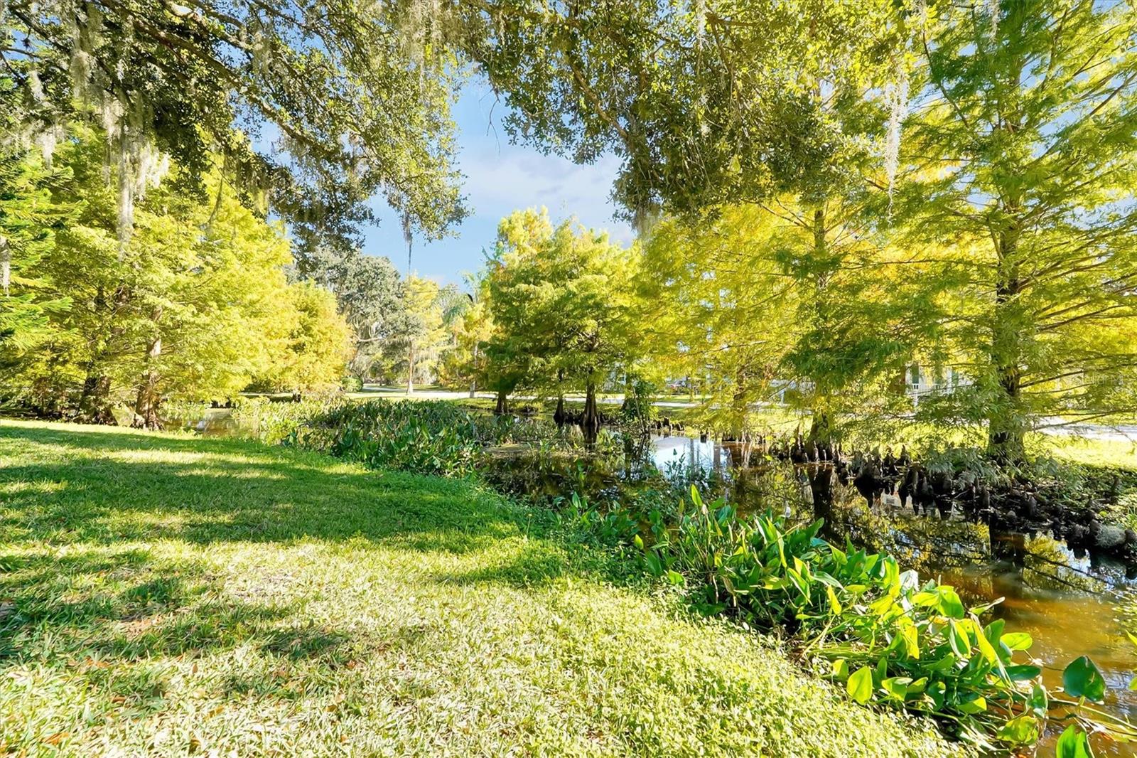 Image 72 of 87 For 81 Oakdale Street