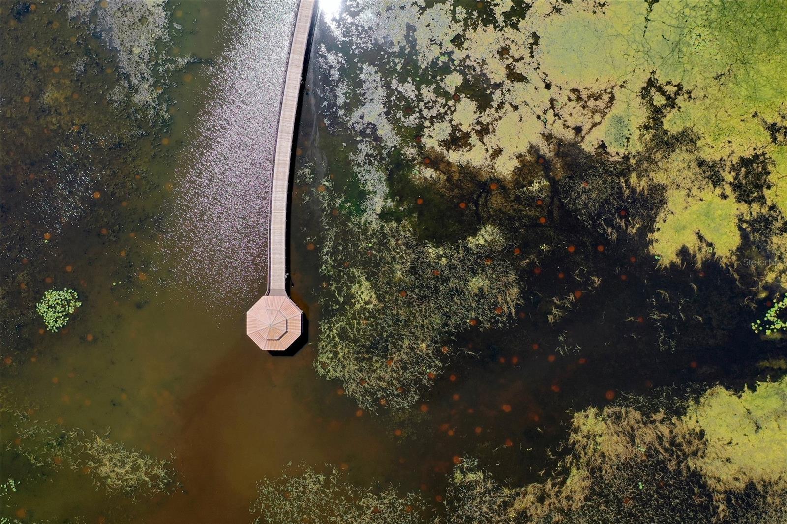 Image 66 of 66 For 3061 Agostino Terrace