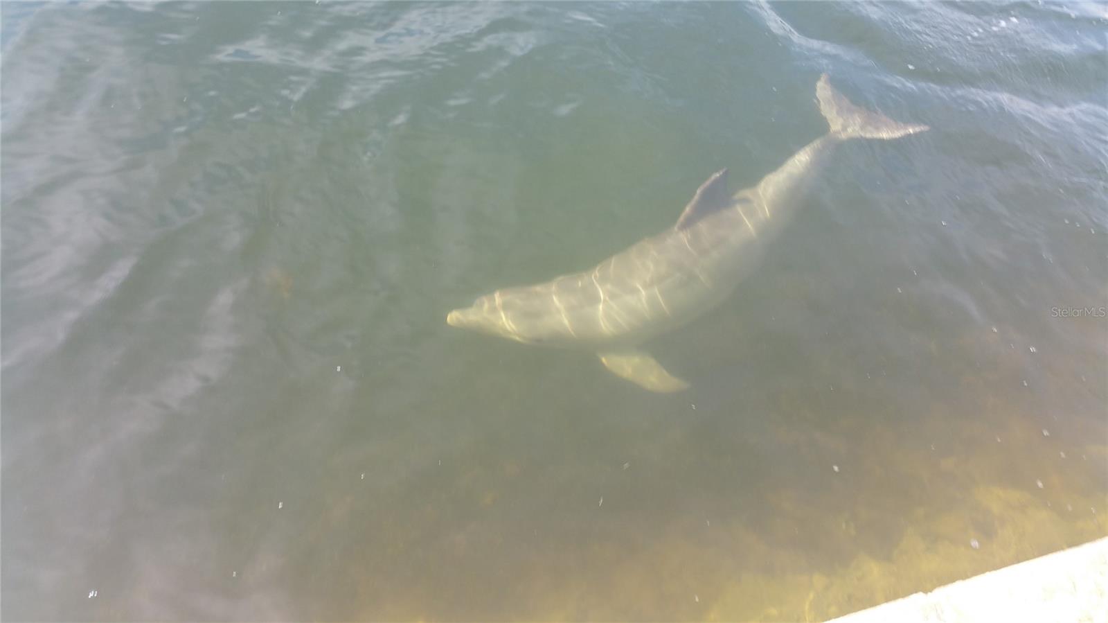 Image 25 of 73 For 6009 Sea Ranch Drive 804