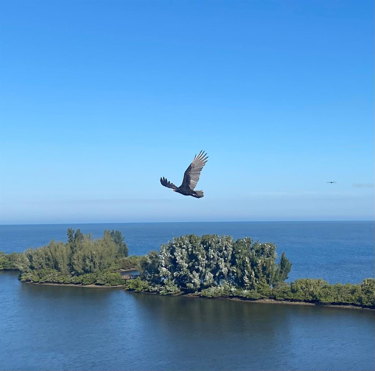 Image 62 of 73 For 6009 Sea Ranch Drive 804