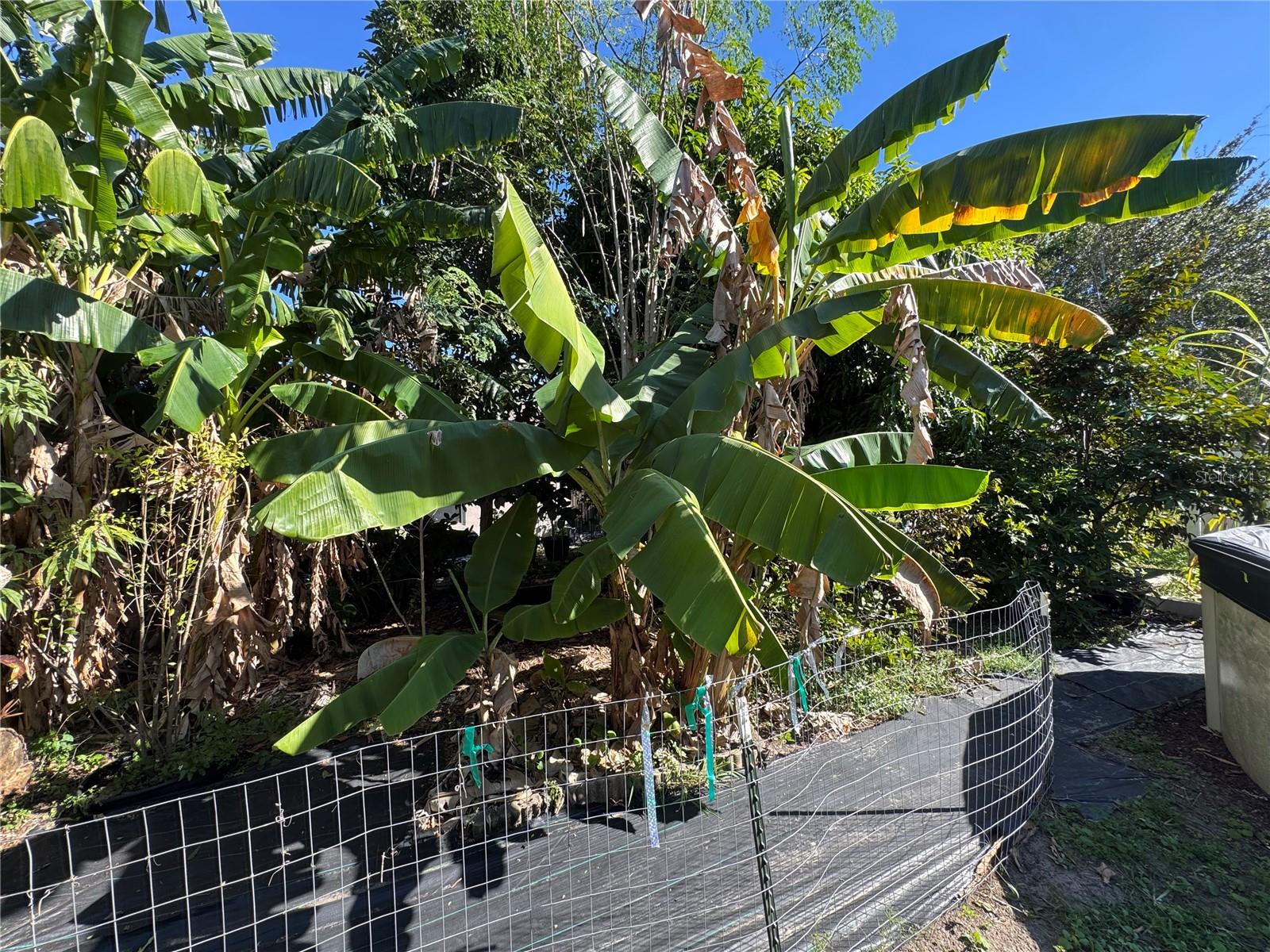 Image 61 of 61 For 627 Woodland Creek Boulevard