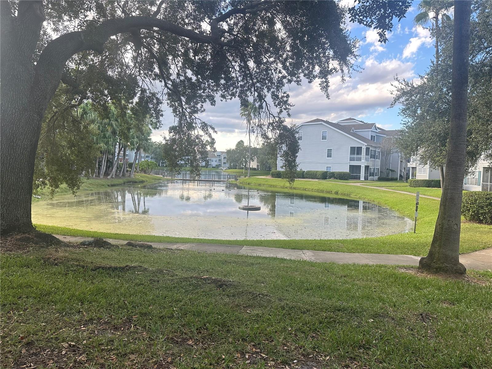 Image 16 of 24 For 5040 Park Central Drive 2011