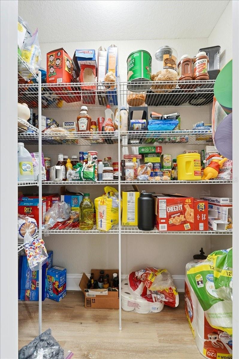 Image 18 of 55 For 31 Morgan Street